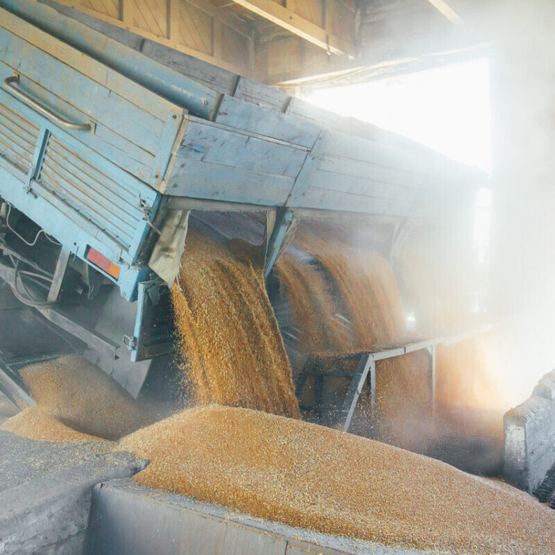 supply chain and logistics management